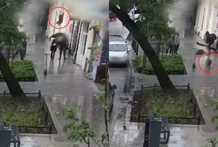 VIDEO | ¡Si no lo veo no lo creo! Perro cae del cielo y deja inconsciente a una mujer