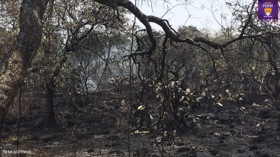 Reserva UNAM_UNAM-DGCS.jpg