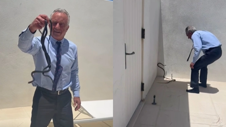 video-viral-robert-f-kennedy-jr-secretario-salud-eu-captura-dos-serpientes-negras-florida