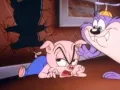 tiny-toons-origen