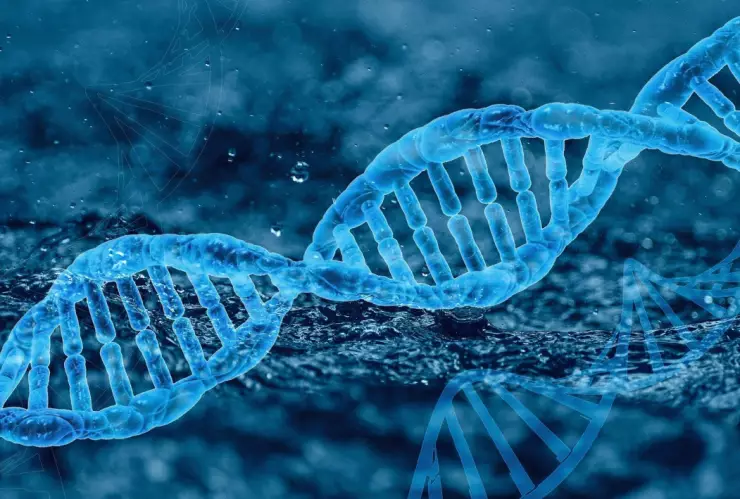 variante genetica covid-19 vih