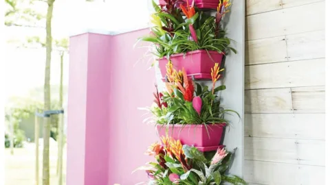 jardin vertical
