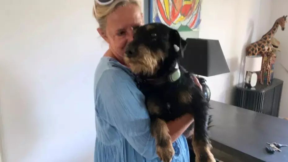 perro casa 380 kilometros.jpg