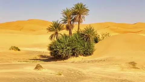 Desierto del Sáhara