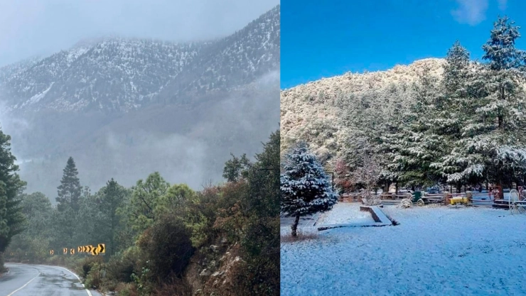 Nieve México 2026