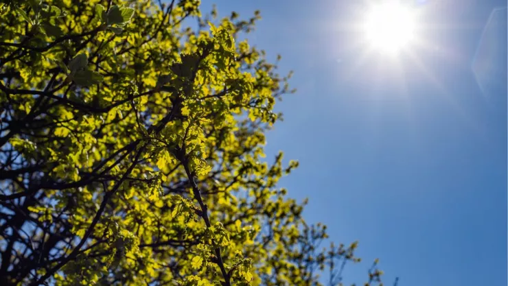 Clima en Tijuana: Iniciamos la semana con un día soleado y cálido