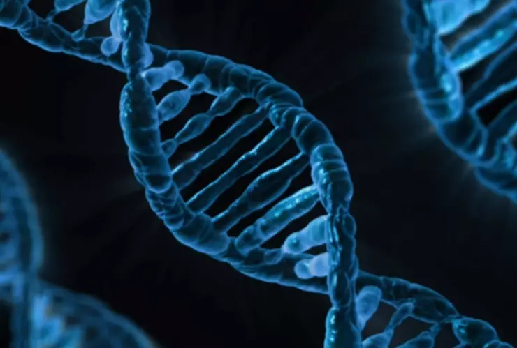 estructura doble hélice adn
