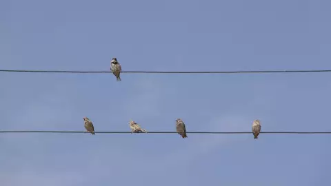 calidad del aire en Guanajuato