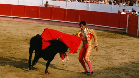 Corrida de toros