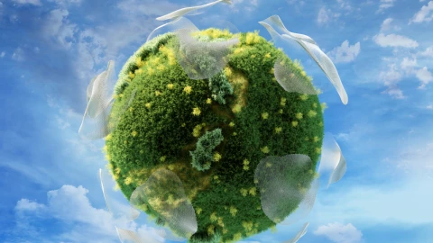 Qué es el desarrollo sustentable