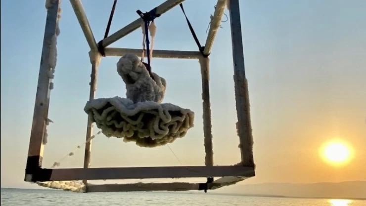 Sigalit Landau escultora israelí Mar Muerto.