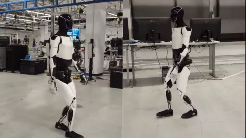 Elon Musk muestra a Optimus