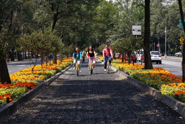 Calles de la CDMX llenas de flores por el Día de Muertos