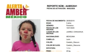 WhatsApp Image 2025-02-06 at 2.57.52 PM.jpeg