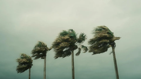 Temporada-de-huracanes-2024-Cuántos-ciclones-mayores-se-esperan-en-el-Atlántico