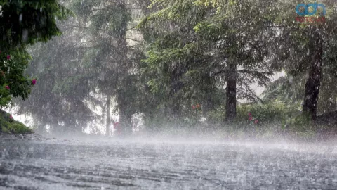 Pronosticos del clima en Mexico 22 de octubre