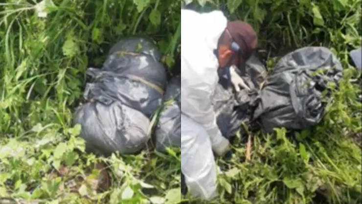 Colectivo Guerreros Buscadores de Jalisco halló restos humanos en una presunta fosa clandestina.