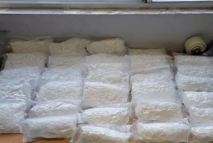 Un caso de mula ciela en Tijuana