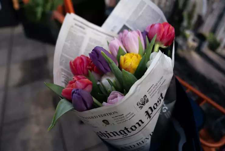 ¿Qué significa regalar tulipanes? Aquí la respuesta.jpg