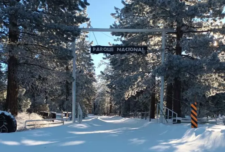 PARQUE SAN PEDRO MÁRTIR NEVADAS