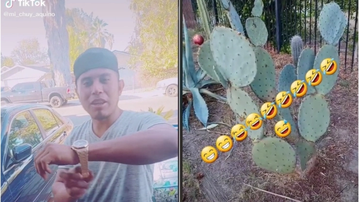 extranjero-mexicanos-nopales