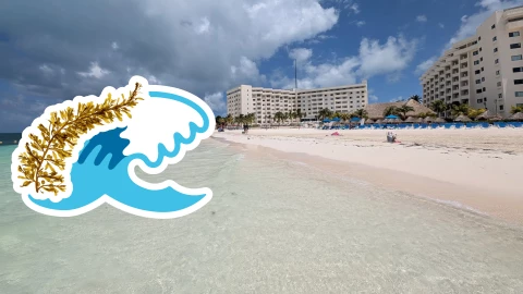 Playas libres de sargazo en Quintana Roo HOY 16 de junio de 2025_ Lista desde Holbox, Cancún y hasta Tulum.jpg