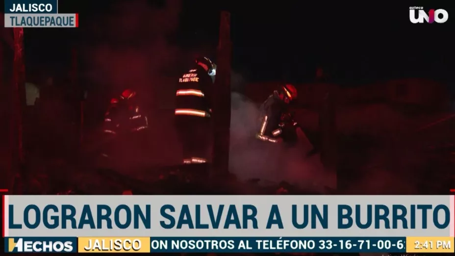 Dos perros mueren tras intenso incendio en casa improvisada en Tlaquepaque