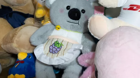 Pelutxito Xonacatl&aacute;n un koala hecho peluche