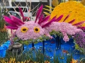 Festival Flores y Jardinería 2022 Polanco