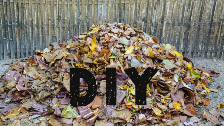 5 ideas para reutilizar las hojas secas del otoño y decorar el hogar