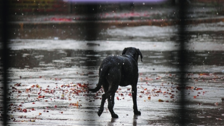 Seguirán las lluvias en Morelos.