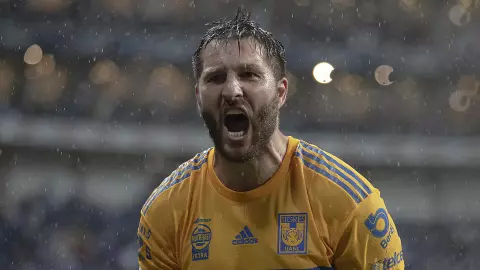 Andr&eacute;-Pierre Gignac