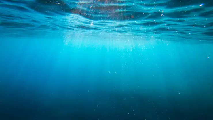 Científicos hallan CUEVA submarina milenaria en la Península de Yucatán