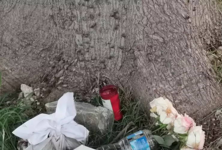 Vecino de Las Américas asegura que encontró restos de un RITUAL, FOTOS