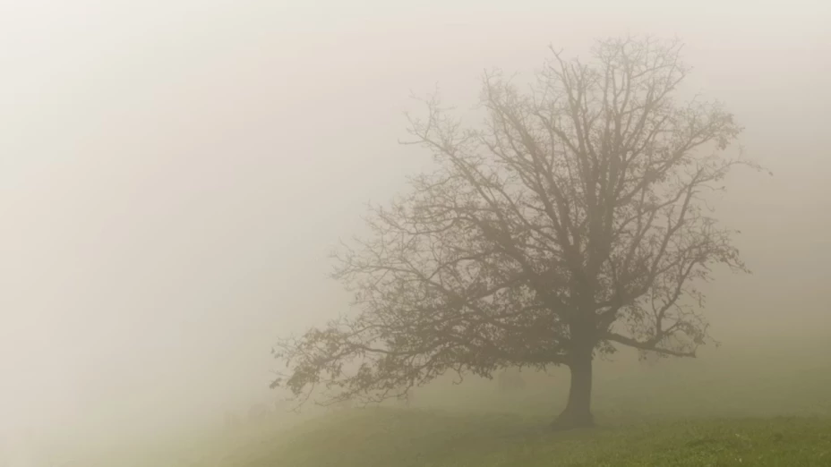 Alerta en BC: este municipio tendrá ráfagas por vientos de Santa Ana de hasta 42 km/h