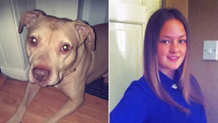 mujer-ataque-perro-Birmingham-muere