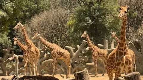 z - 2024-04-08T131221.503.jpg