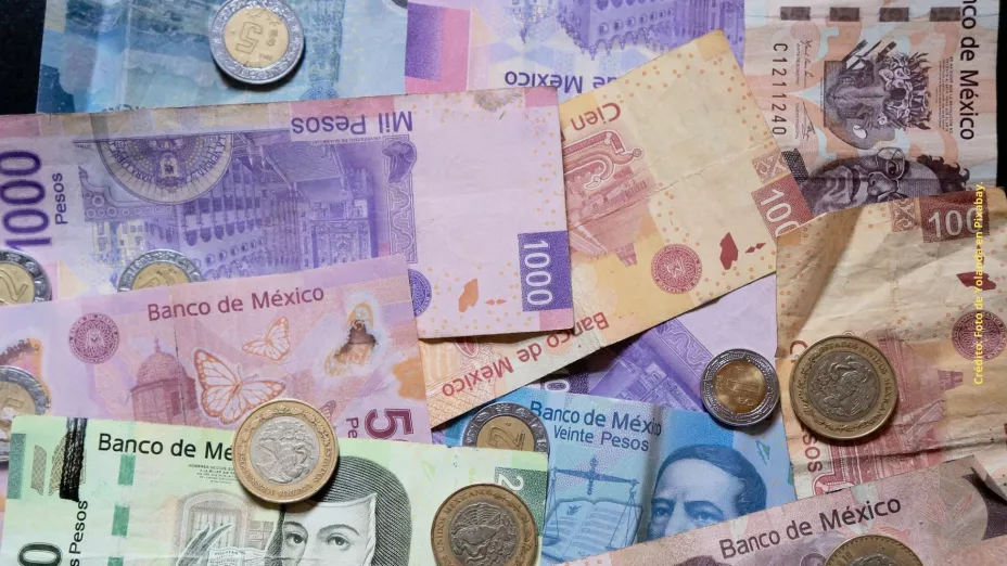 Esta es la manera correcta de detectar un billete del ajolote falso.