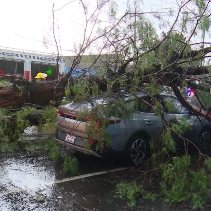 Inundaciones y árboles caídos luego de las fuertes lluvias en Puebla