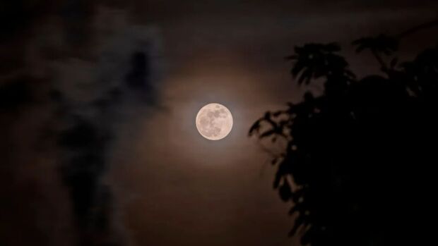 FOTOS: Así se vio la superluna de Fresa.jpg