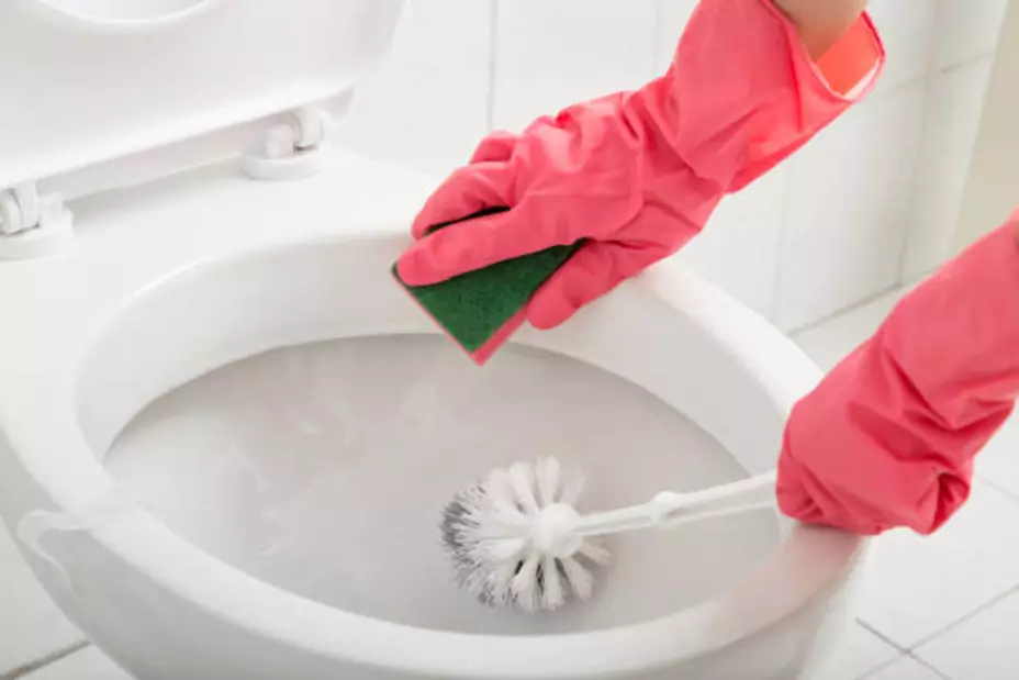 ¿Cómo dejar el inodoro de casa reluciente?