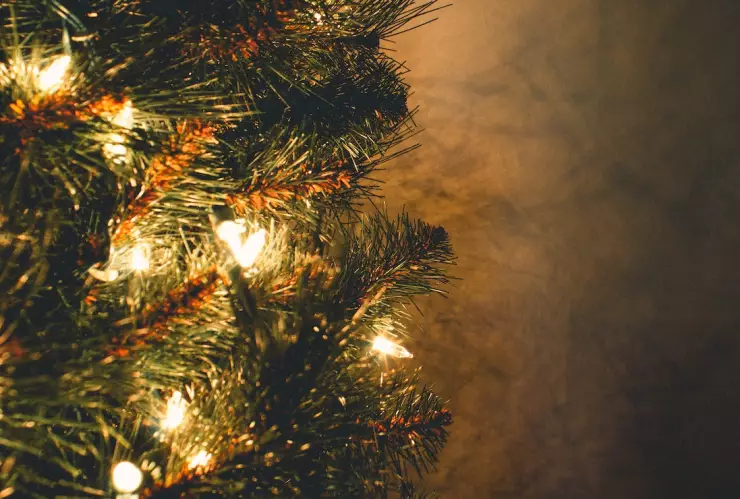 Estos son algunos datos curiosos que debes saber sobre la Navidad