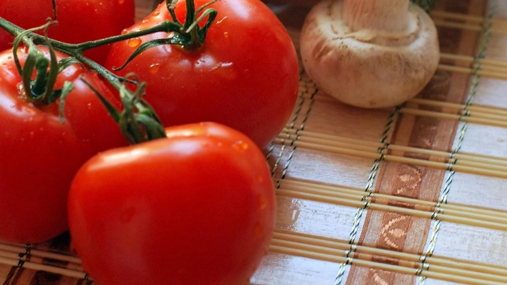 Casi 5 pesos menos, así inició el precio del kilo de jitomate en junio de 2025 en Jalisco