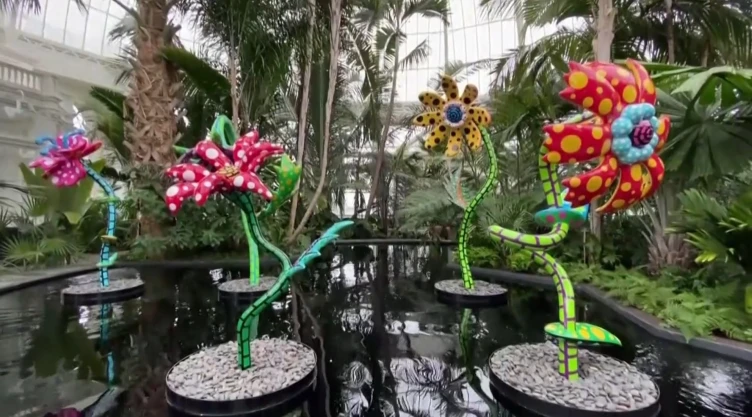 Exposición de Yayoi Kusama llega al Jardín Botánico de NY