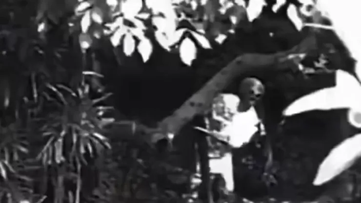 ¡¿EXISTEN?! James Franco asegura que EXTRATERRESTRES existen; muestra video grabado en su casa