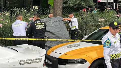 CDMX: Asesinan a golpes un hombre y aparece su cuerpo en avenida Chapultepec