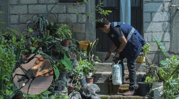 Especialistas de la UNAM fumigando un hogar contra la chinche de chagas.