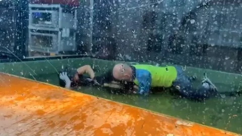 Video_ Cocodrilo ataca a su entrenadora y un hombre la salva