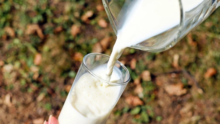 Precio de la leche: ¿Cuánto cuesta el litro hoy 1 de junio de 2025 en Jalisco?