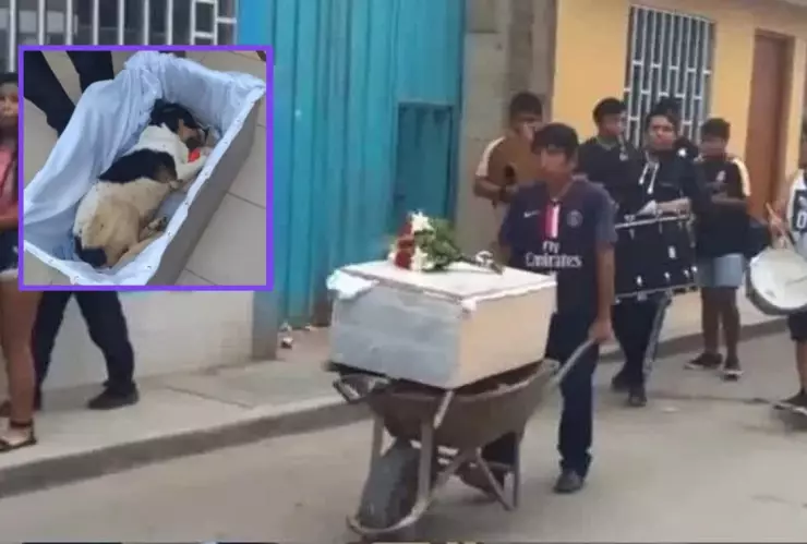 Despiden a Manchas, perro callejero fallecido en Perú.